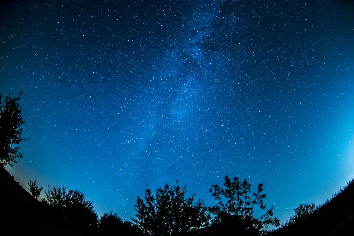 Céu noturno estrelado sobre a silhueta escura de árvores